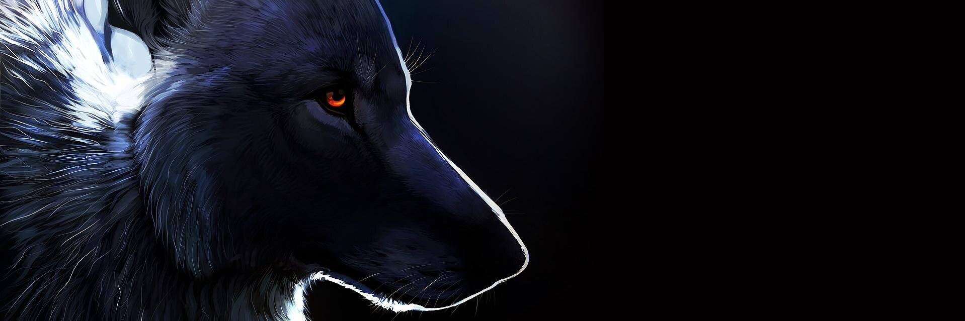 SalZiga1's profile banner image