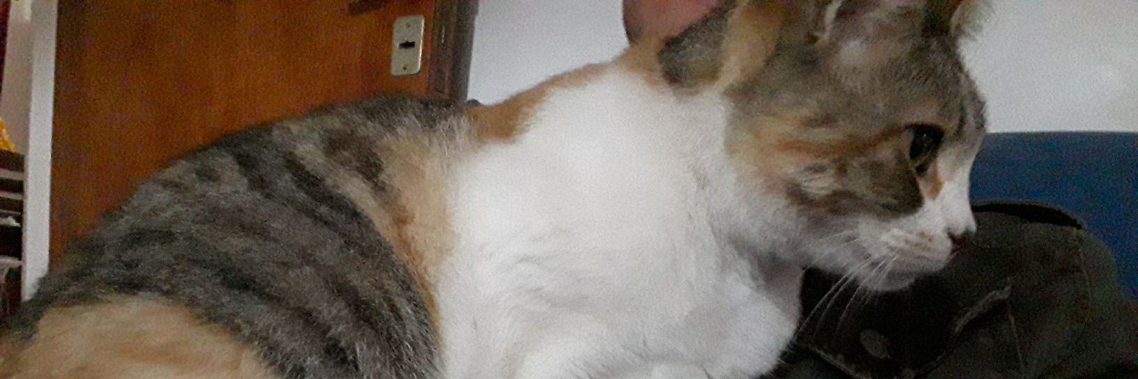 Cgili14's profile banner image