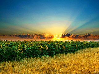 dauz_03's profile banner image