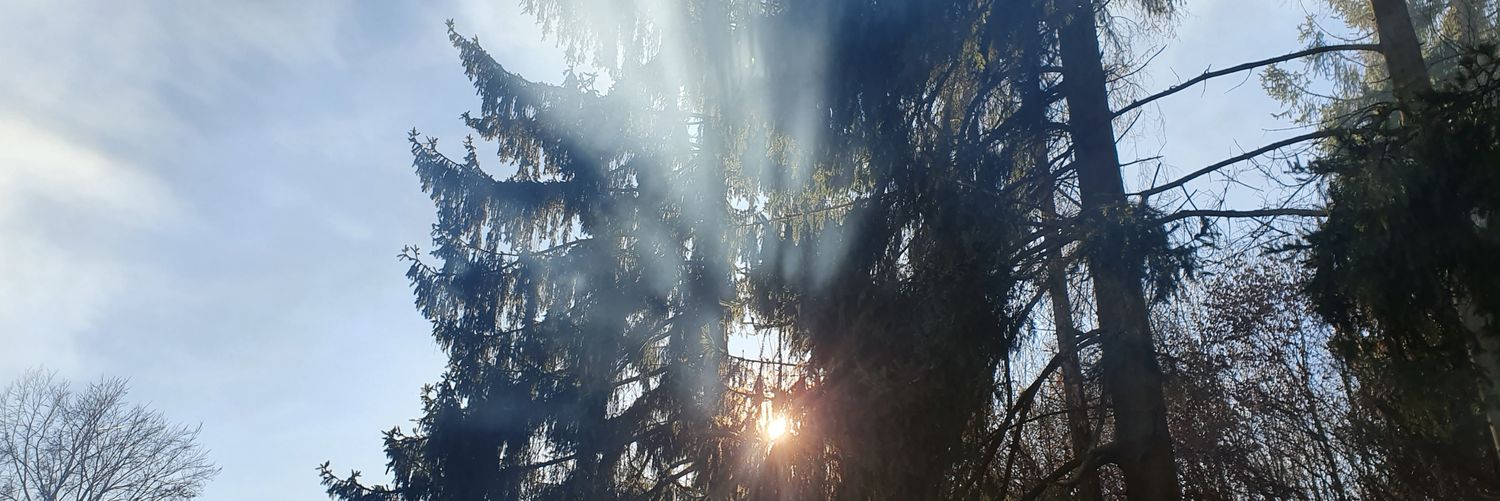 prof_zeezy's profile banner image