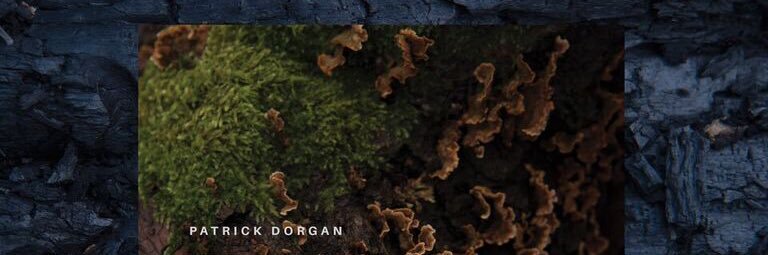 Patrick Dorgan banner