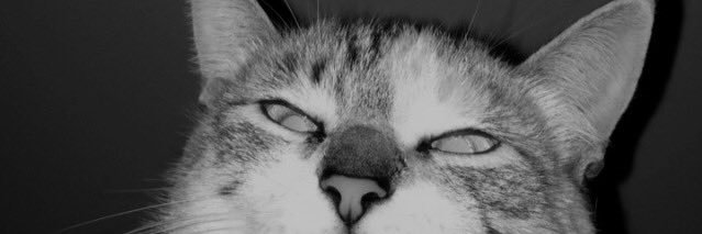 Anna_esttrada's profile banner image