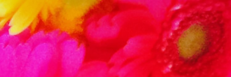 mdkb22's profile banner image