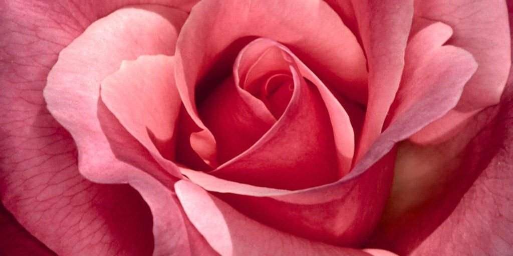 BigBethCollins's profile banner image