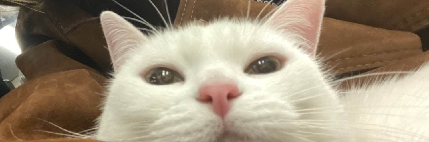 Clarabsc2's profile banner image
