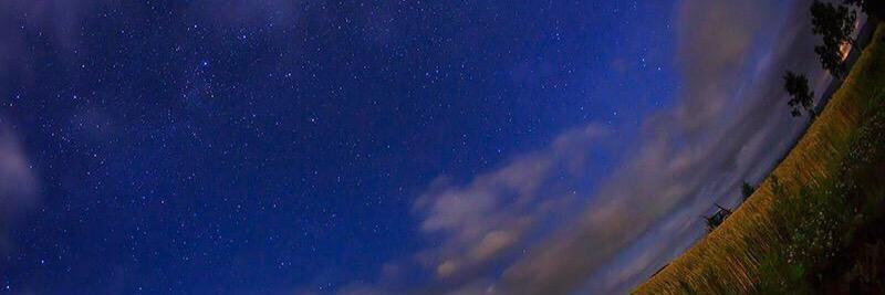 まいふな banner