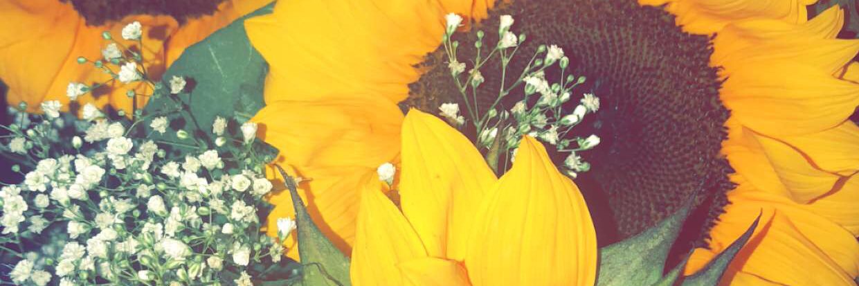 _EricaCee's profile banner image