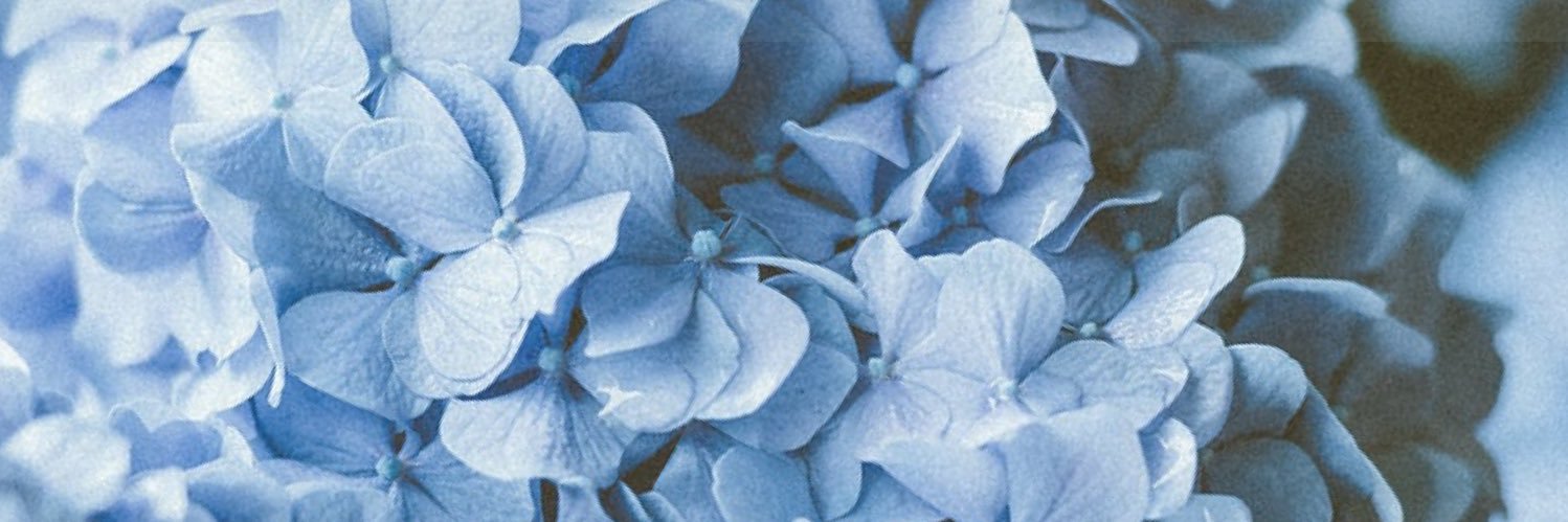 xflowesr's profile banner image