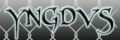 yng_dvs's profile banner image