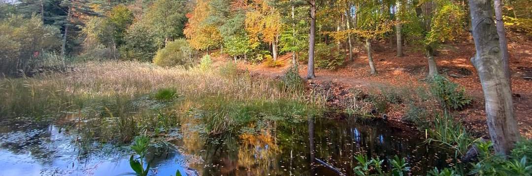 Holt Country Park banner
