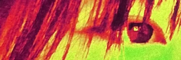 ❤️‍🔥◞✿ banner