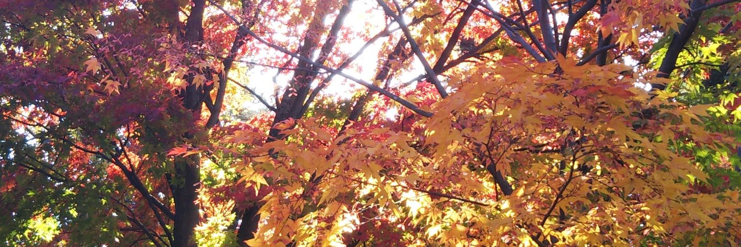 sazanami731's profile banner image