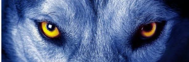 نُـقطـة banner