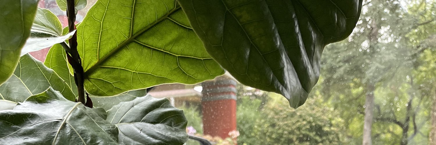 AlexanderTheDav's profile banner image