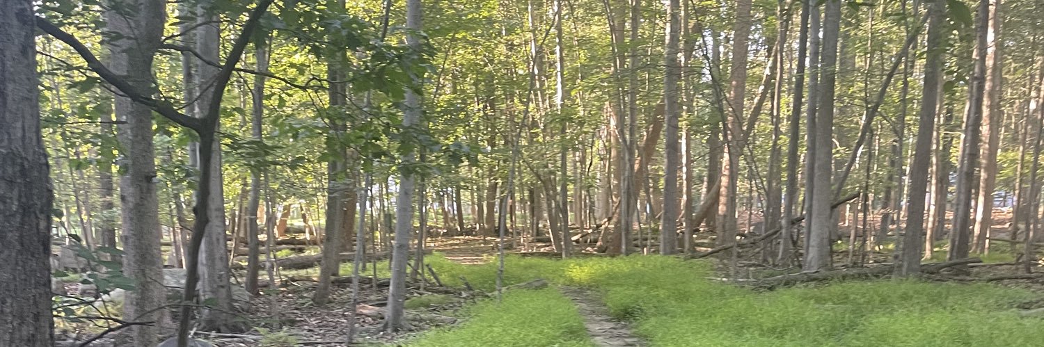 kevmok21's profile banner image