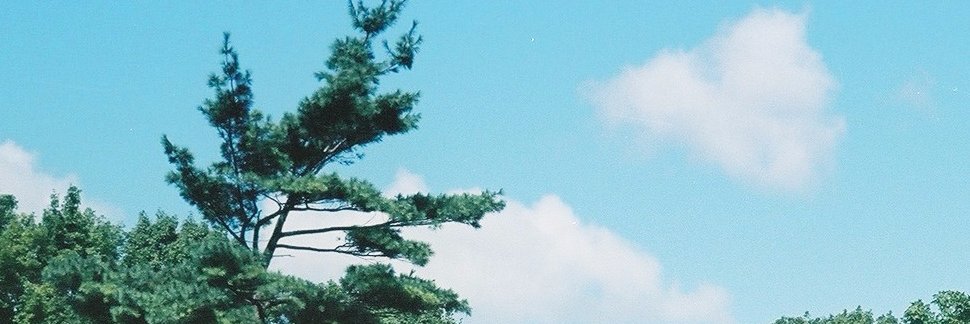John Bowles banner
