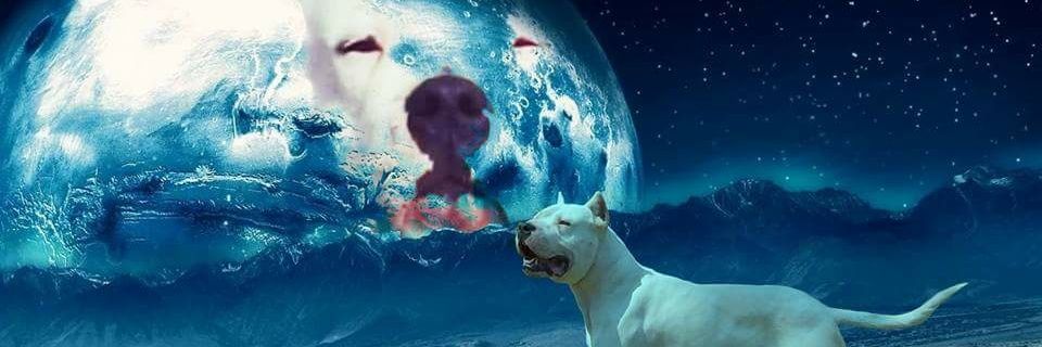 kelevsmv's profile banner image