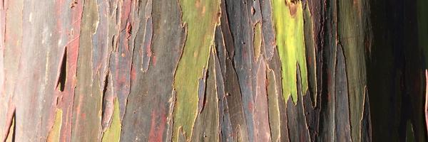 WalterMichot Profile Banner