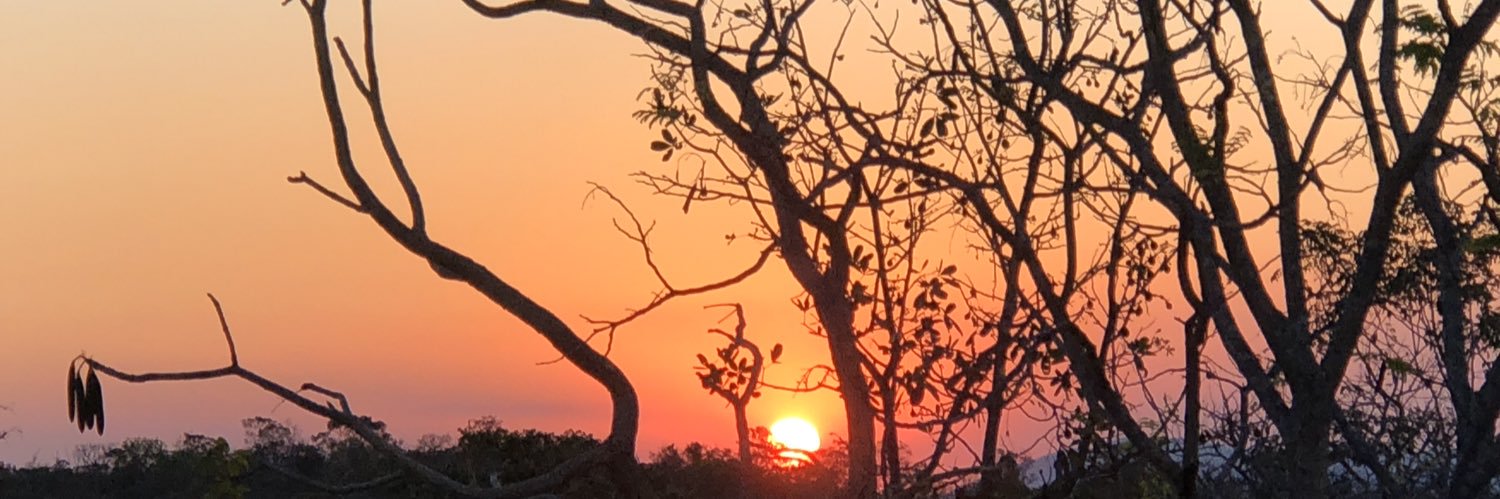 BenedettiJose's profile banner image