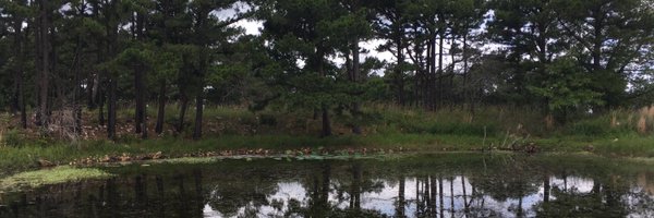 HasikAdam Profile Banner