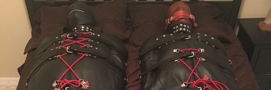 Who? banner
