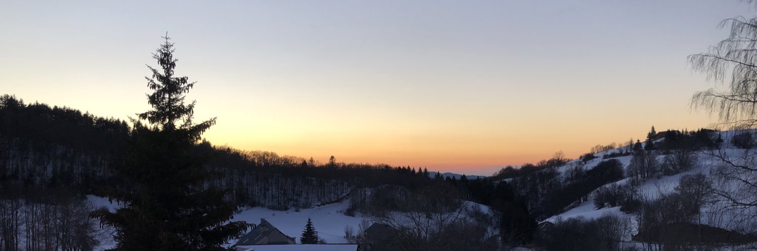 Luc Sanchez 🇺🇦🇪🇺 banner