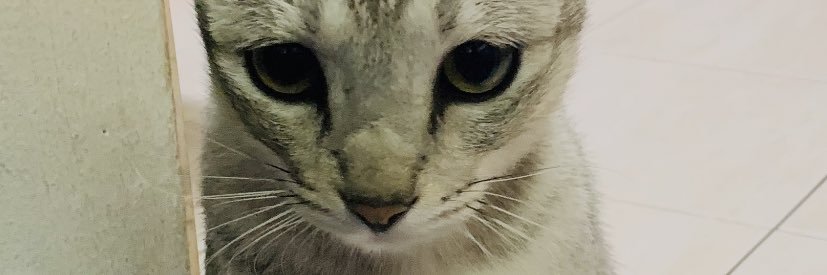 IzwanSajjer's profile banner image