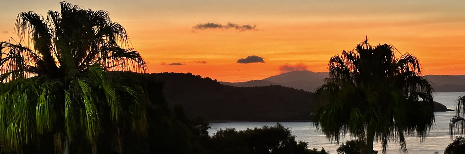 Anusha Bhat MD, MPH banner