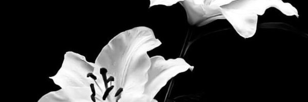 YUYAKE_24 Profile Banner