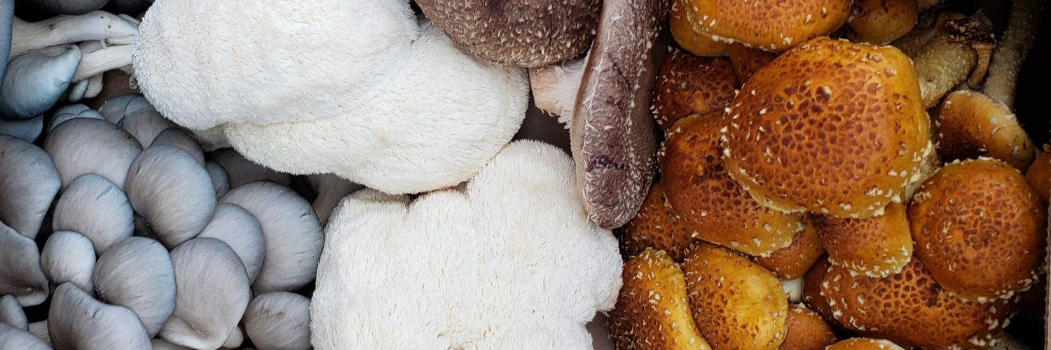 Grandrivermushrooms banner