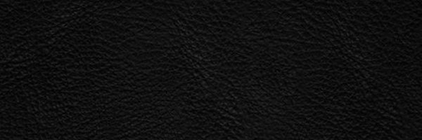 reis_lab Profile Banner