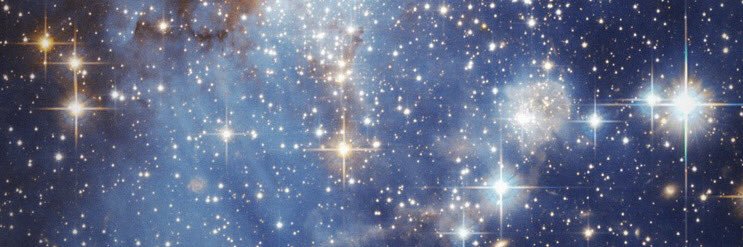 にゃたろを🎸 banner