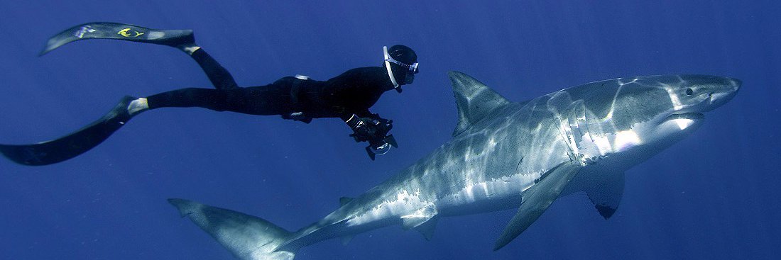 Marios Papasofokλi banner