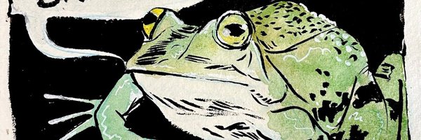 Funny Frog Pic Consumer Profile Banner