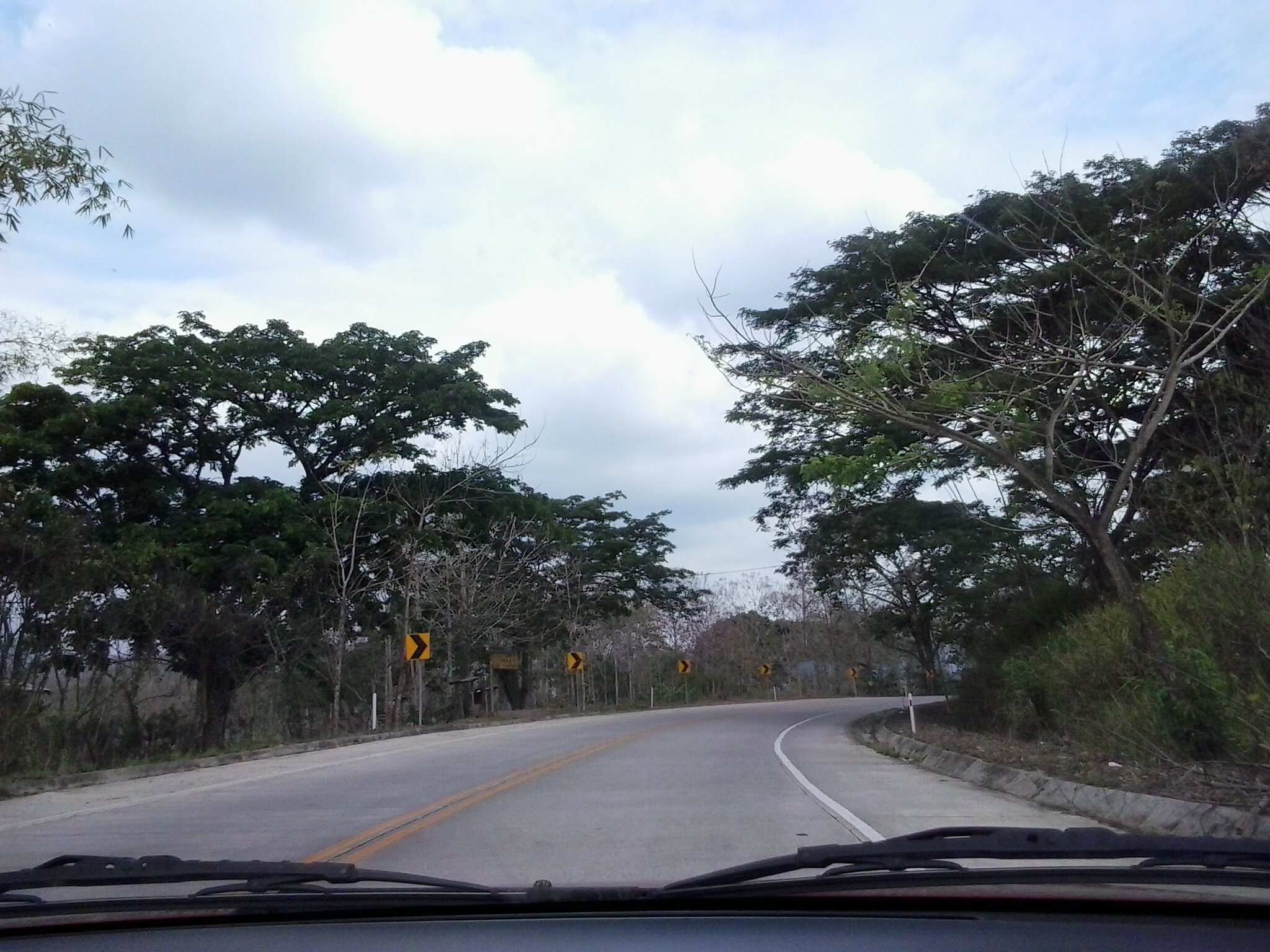 DianaLeón banner