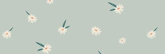 Morgan Rhodes banner