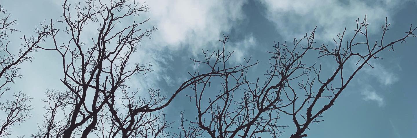 ceremonialfever's profile banner image