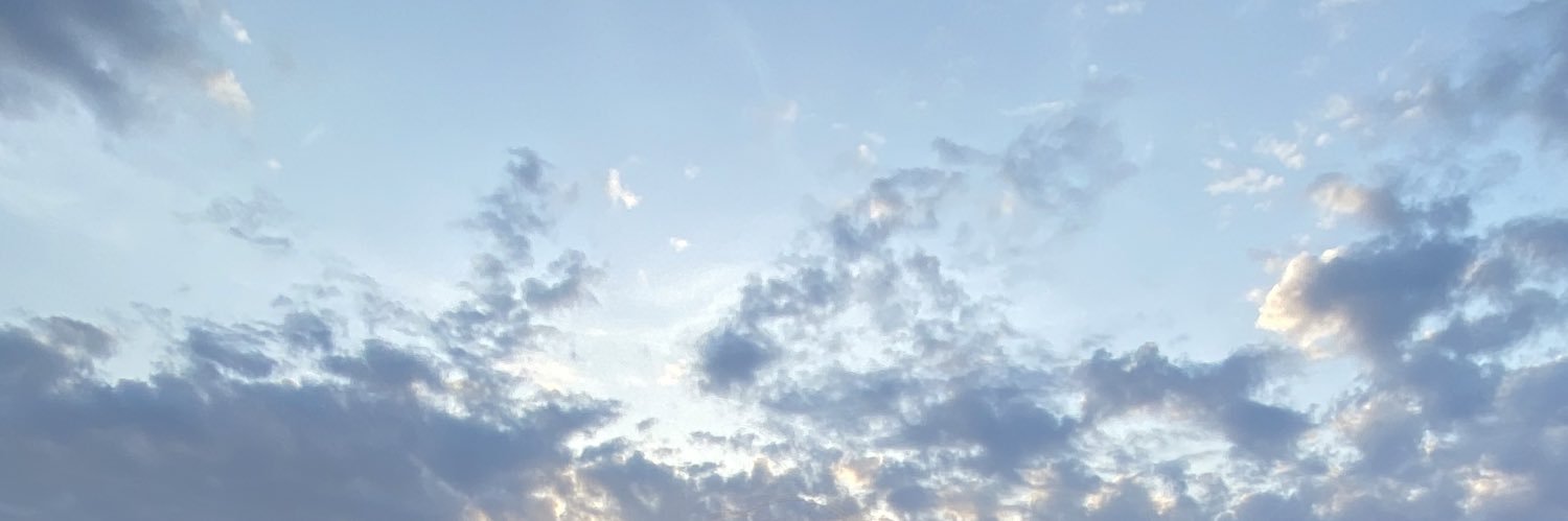 alibloomquist3's profile banner image