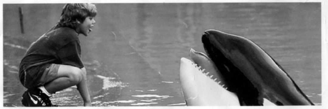 TesssaMiller's profile banner image