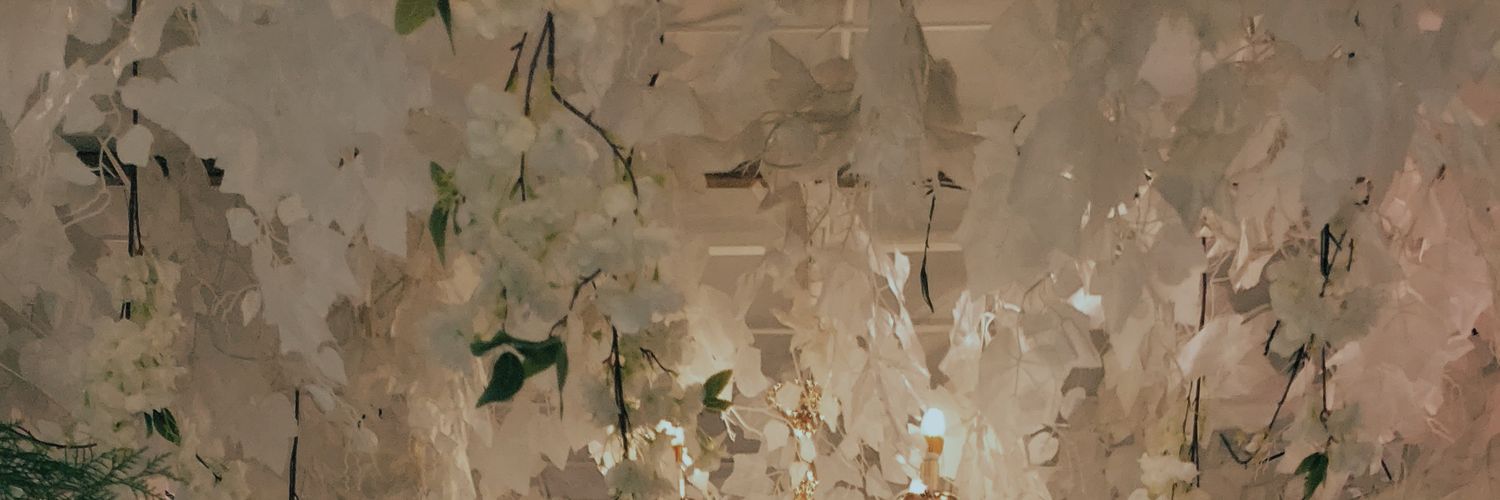 opysovia's profile banner image
