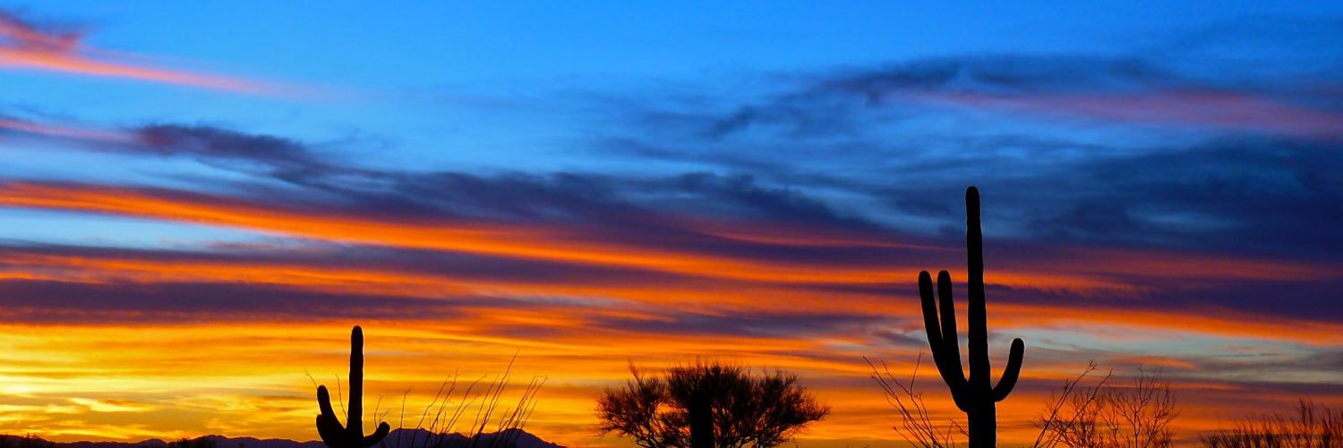 lauraintucson's profile banner image