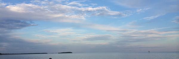 TajMahajan94 Profile Banner