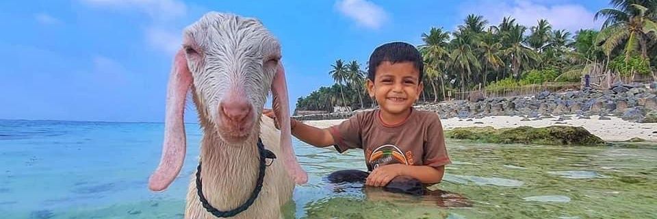 TomFady_'s profile banner image