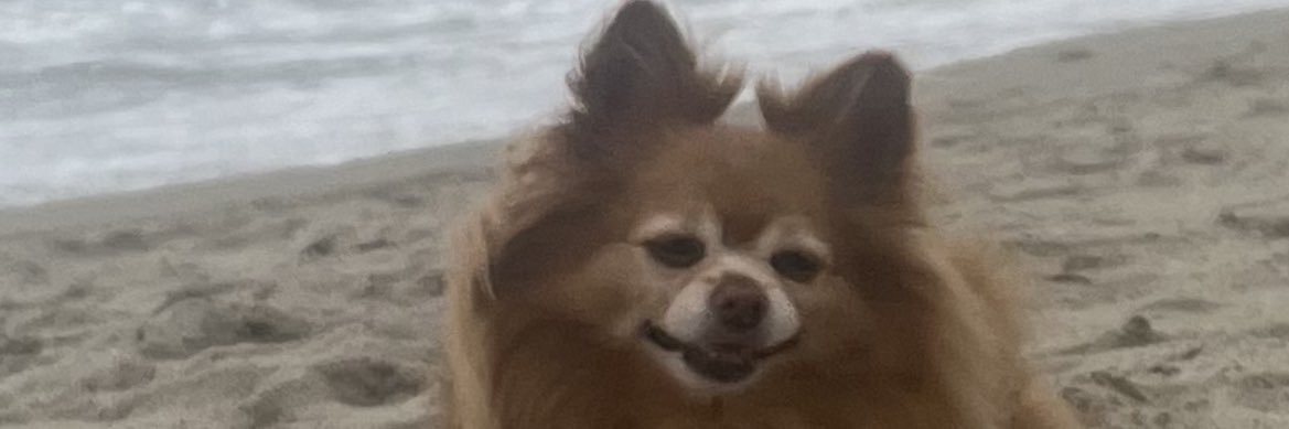 CBean2018's profile banner image
