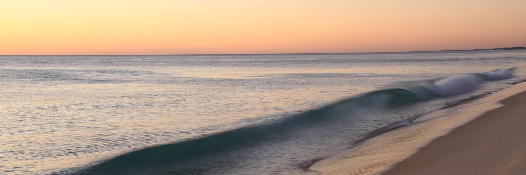 San Diego Science Writers Association banner