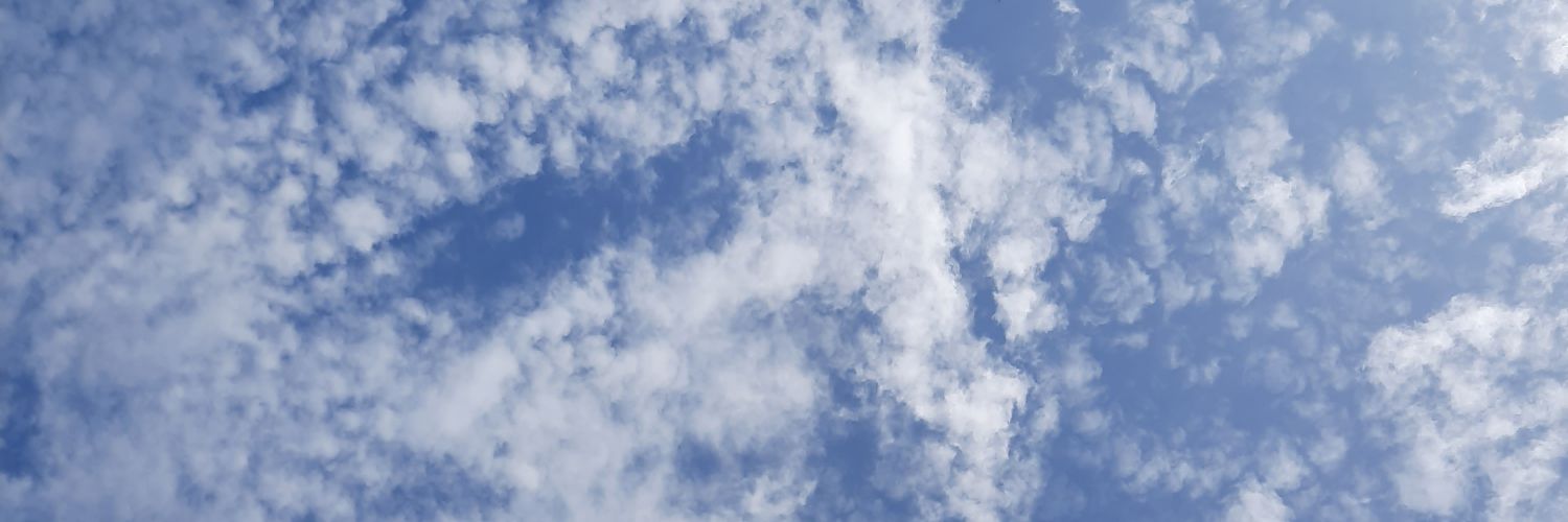 udangjadikrupuk's profile banner image