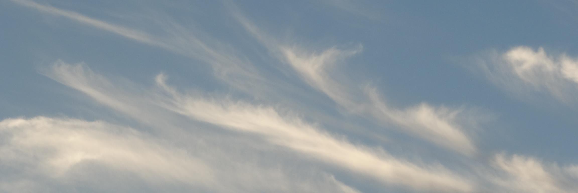 hakuharu's profile banner image