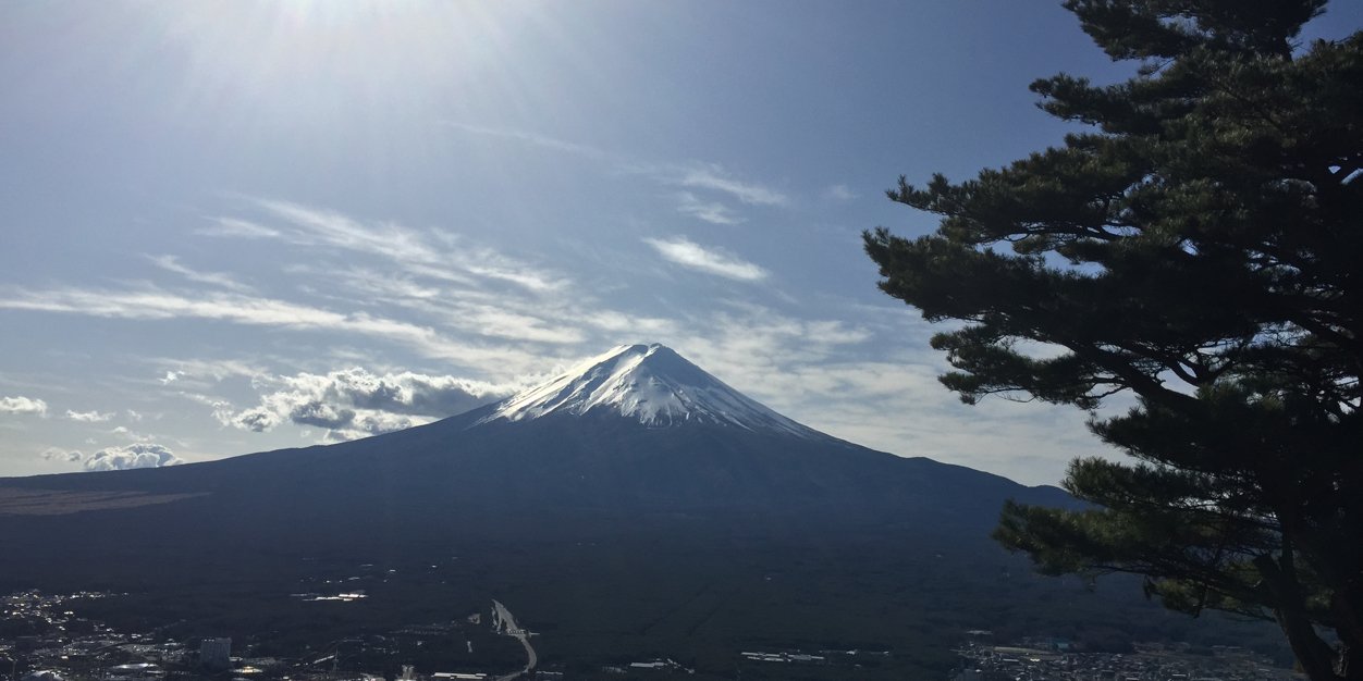 mayu715's profile banner image