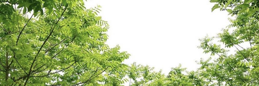 85N13's profile banner image