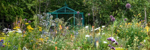 GladmanAndy Profile Banner